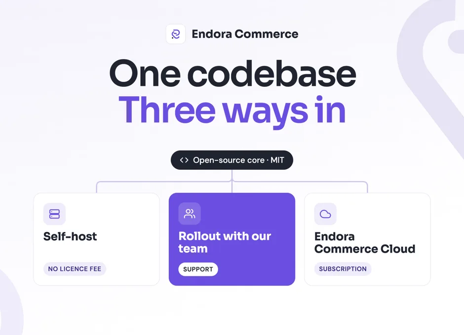 Self-hosting, a guided rollout or Cloud: how to choose your way into Endora Commerce